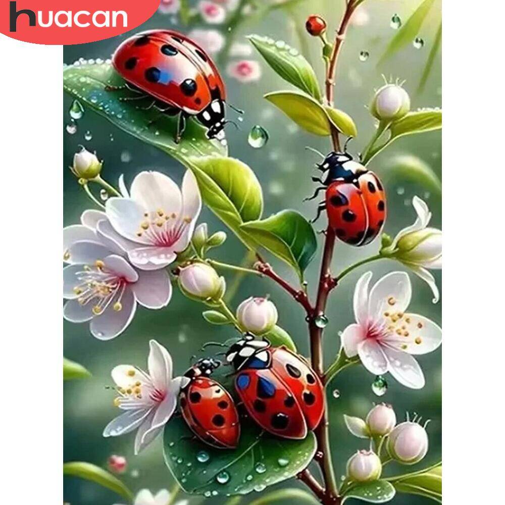 Huacan ภาพวาดติดเพชรรูปกบและพื - Embroidery Lady Bug บทวิจารณ์และราคา