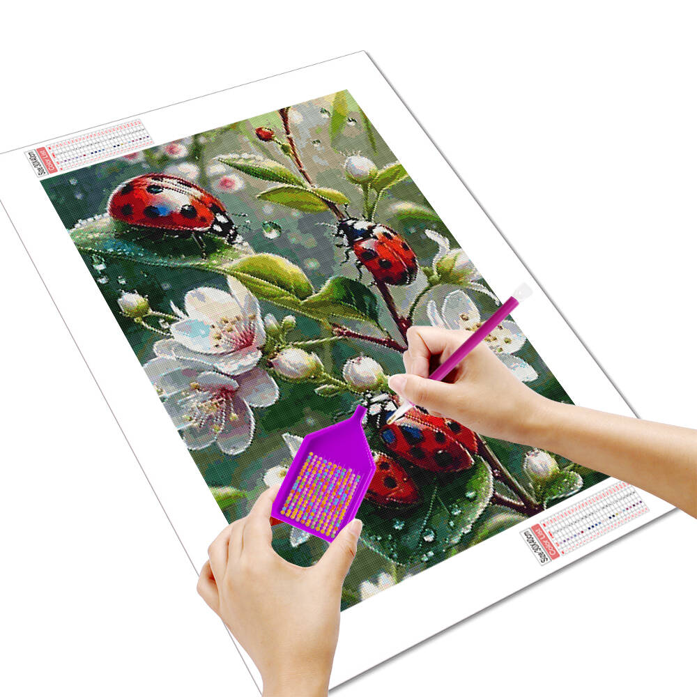 Huacan ภาพวาดติดเพชรรูปกบและพื - Embroidery Lady Bug บทวิจารณ์และราคา